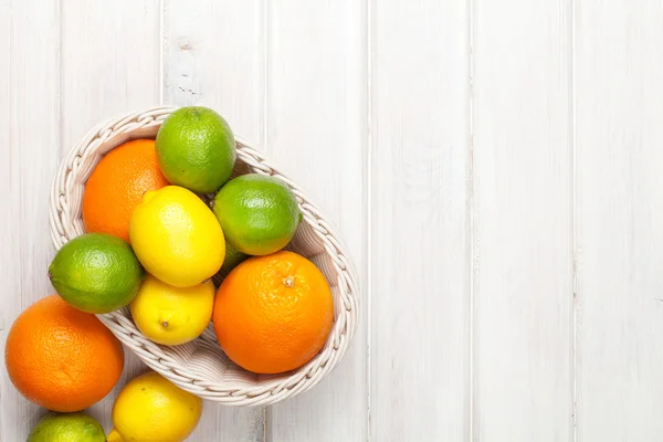 Orangen, Limetten und Zitronen — Stockfoto