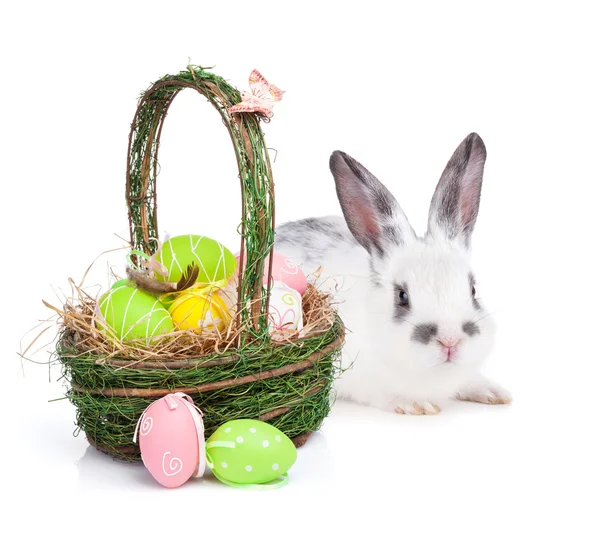 Easter eggs basket and rabbit — Stock Photo, Image