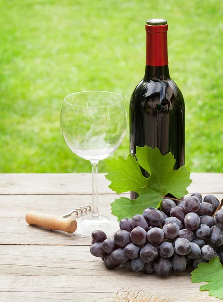 Rotwein mit Trauben — Stockfoto