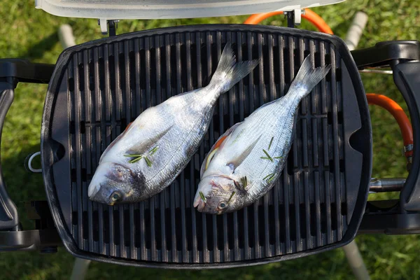 Fresh dorado fish grill cooking — Zdjęcie stockowe