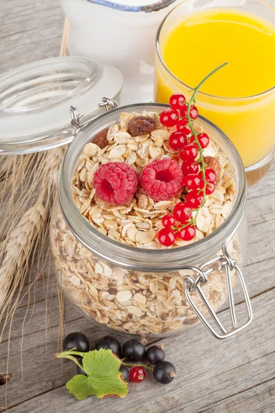 Petit déjeuner avec muesli et baies — Photo