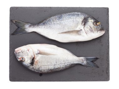 taze dorado balığı