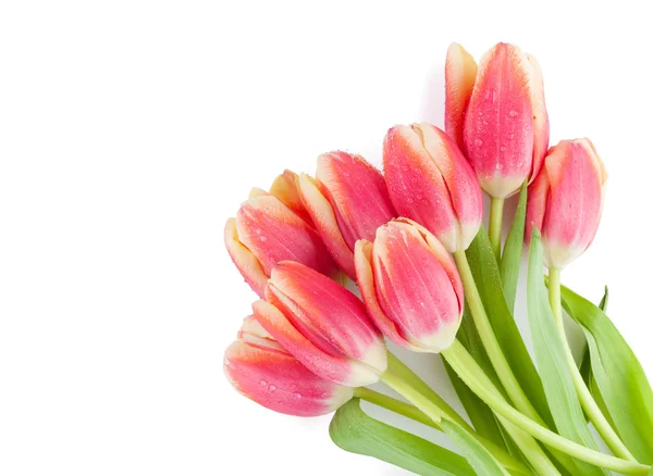Colorful tulips bunch — Stock Photo, Image