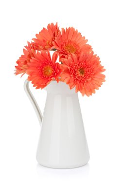 Turuncu gerbera çiçekleri