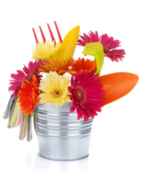 Zahradní nástroje a barevné květy — Stock fotografie