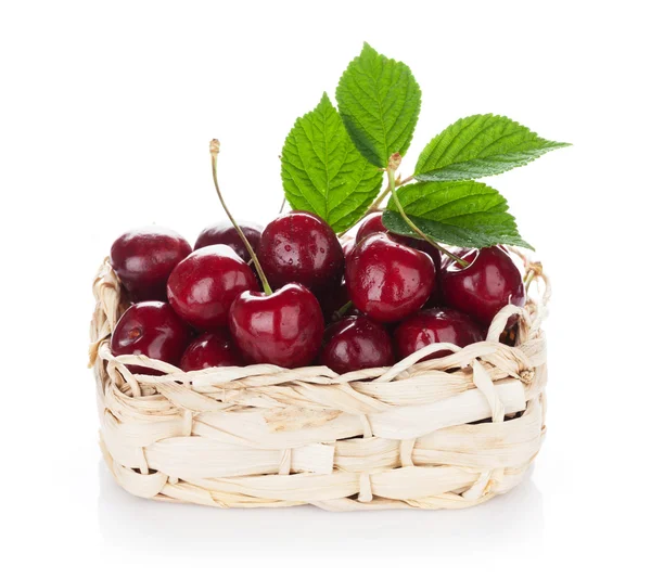 Ripe cherries basket — Stock Photo, Image