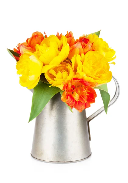 Colorful tulips bouquet in watering can — Stock Photo, Image