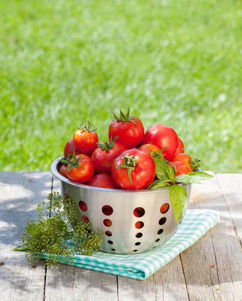 Fresh ripe tomatoes in colander — Stock Photo, Image
