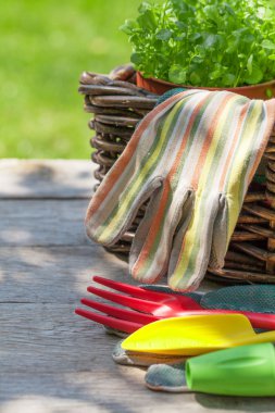 Bahçe aletleri ve fide