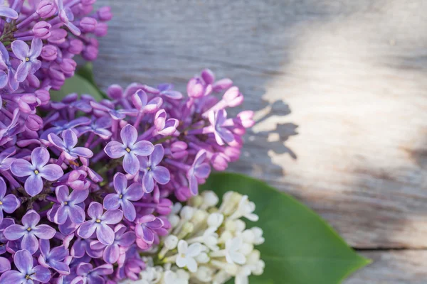 Coloridas flores lila en la mesa de jardín — Foto de Stock