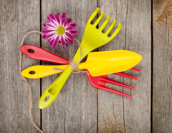 Garden tools with flower — Stock Photo, Image