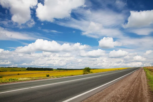 Strada attraverso il campo di girasole giallo — Foto Stock