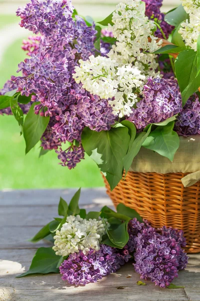 Flores de colores lila en cesta — Foto de Stock