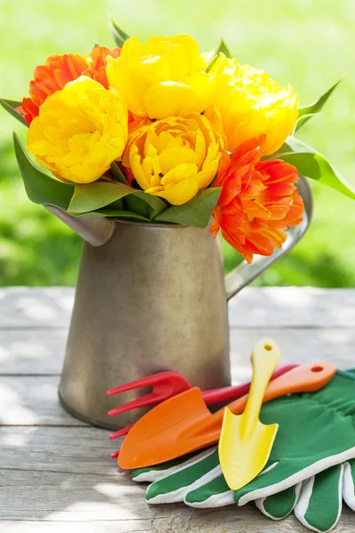 Colorful tulips and garden tools — Stock Photo, Image