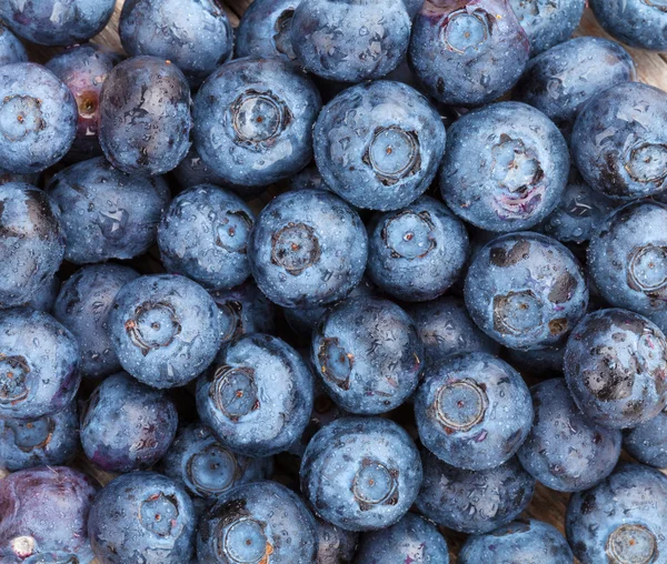 Closeup of fresh blueberries — Stock Photo, Image