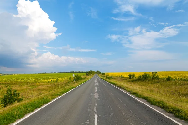 Strada attraverso il campo di girasole giallo — Foto Stock