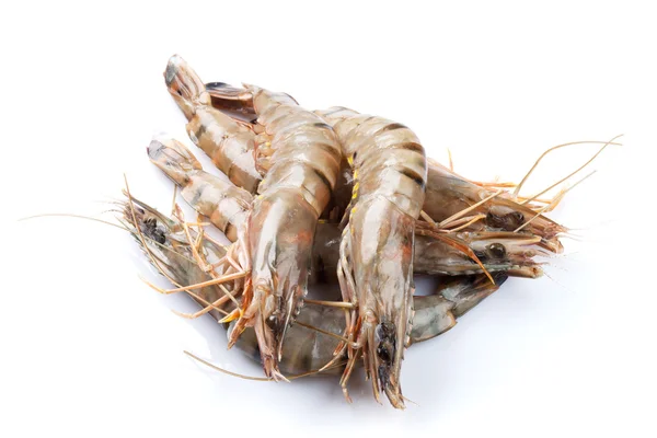 Fresh raw tiger prawns — Stock Photo, Image