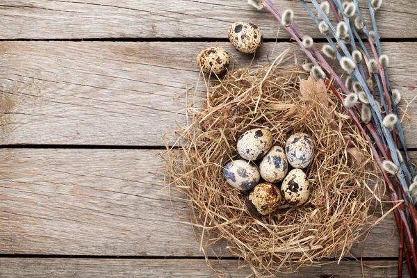 Quails eggs in nest — Stock Photo, Image