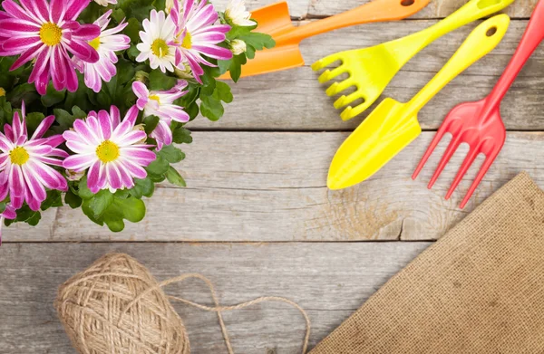 Gartengeräte mit Blumen — Stockfoto