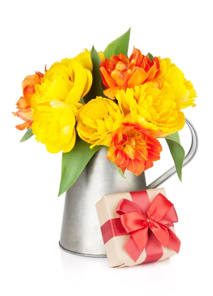 Colorful tulips in watering can — Stock Photo, Image