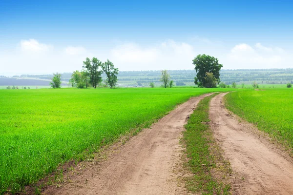 Landstraße durch Grasfeld — Stockfoto