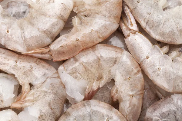 Raw uncooked shrimps — Stock Photo, Image