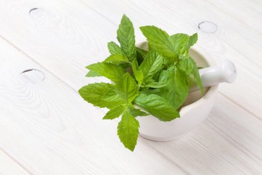 Harç içinde taze nane