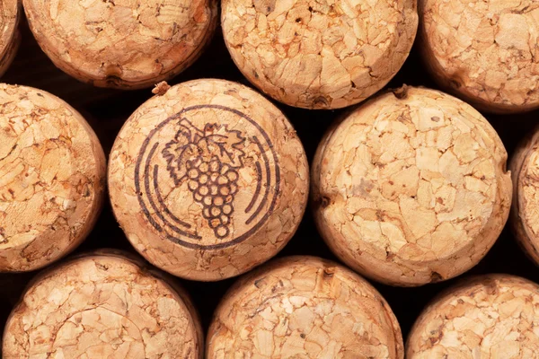 Champagne wine corks — Stock Photo, Image