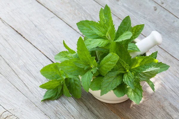 Fresh mint in mortar — Stock Photo, Image