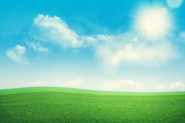 Green grass field and blue sky — Stock Photo, Image