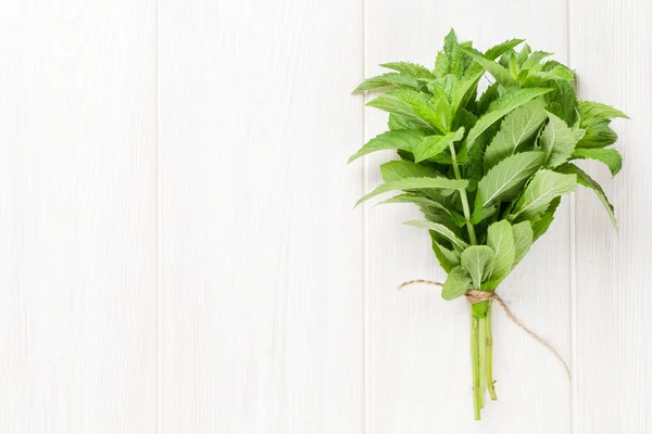 Fresh mint bunch — Stock Photo, Image