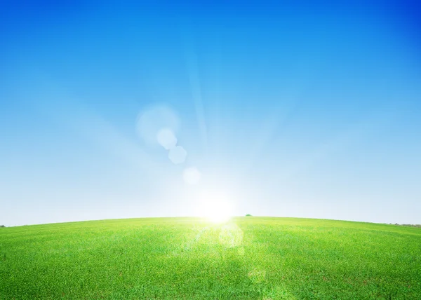 Grünes Grasfeld und blauer Himmel — Stockfoto