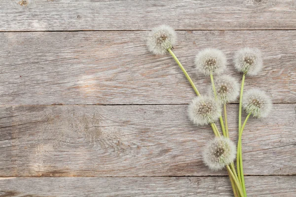 Löwenzahnblumen auf hölzernem Hintergrund — Stockfoto