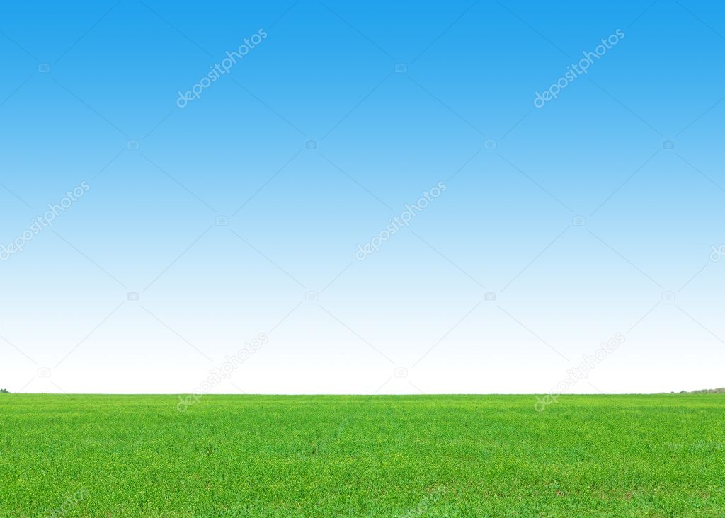 Green grass field and blue sky