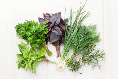 taze Bahçe otlarverse tuinkruiden