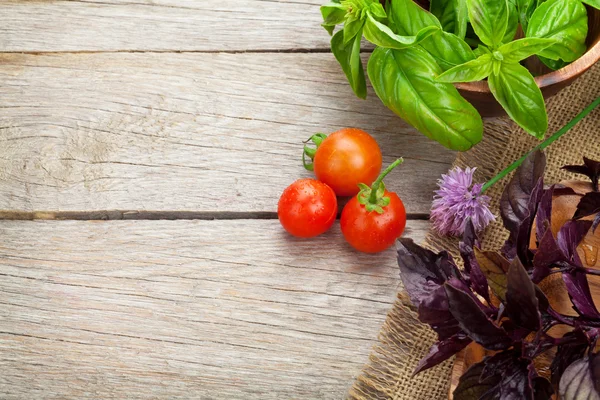 Färska jordbrukare tomater och basilika — Stockfoto