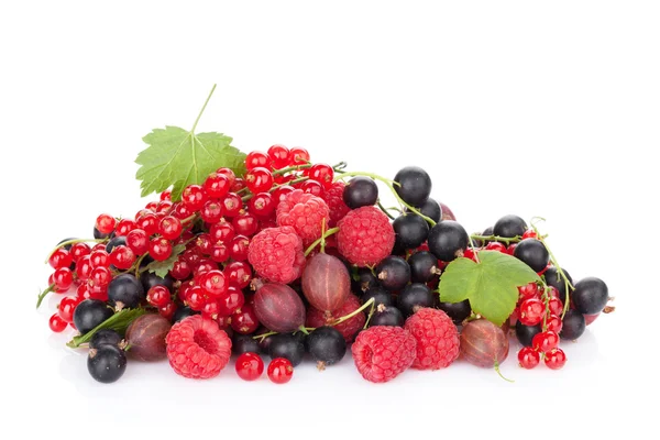 Fresh ripe berries — Stock Photo, Image