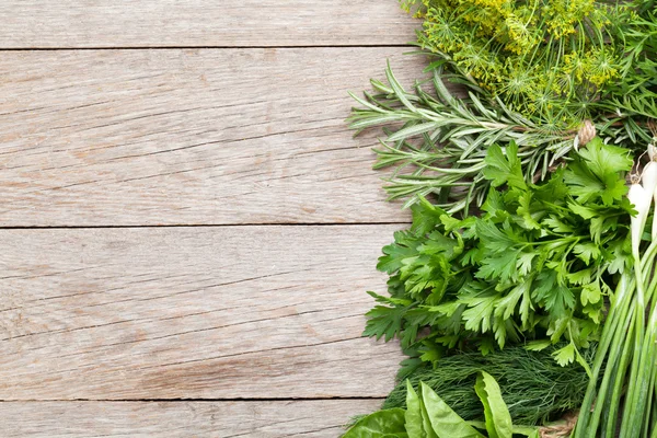 Fresh garden herbs — Stock Photo, Image