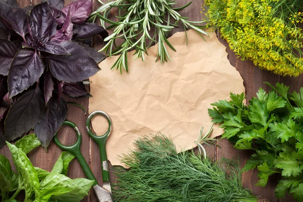 Hierbas frescas de jardín y trozo de papel — Foto de Stock