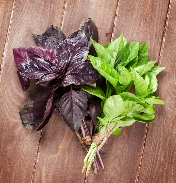 Fresh garden basil — Stock Photo, Image