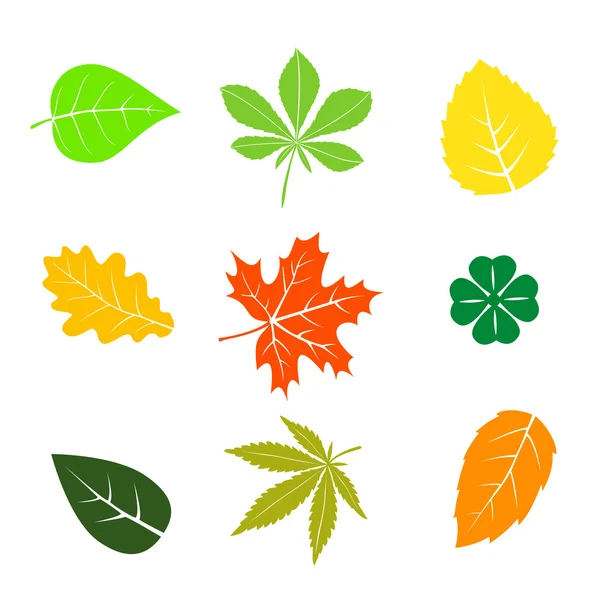 Conjunto de hojas de otoño — Vector de stock