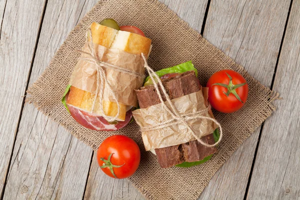 Two sandwiches with salad — Stock Photo, Image