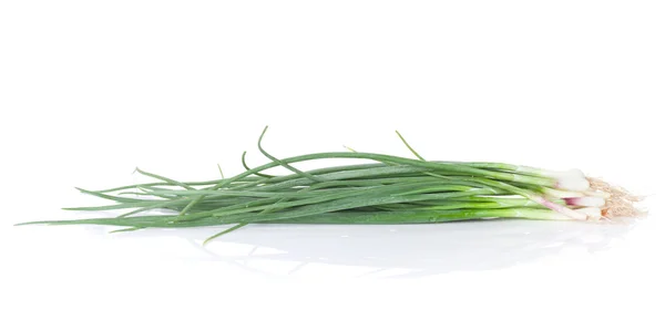 Fresh garden herbs. Spring onion — Stock Photo, Image