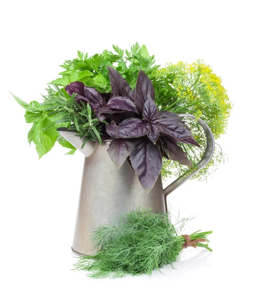 Fresh garden herbs in watering can — Stock Photo, Image