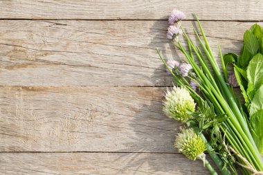 Taze ot ve baharat Bahçe masada