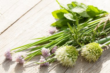 Taze otlar ve baharatlar