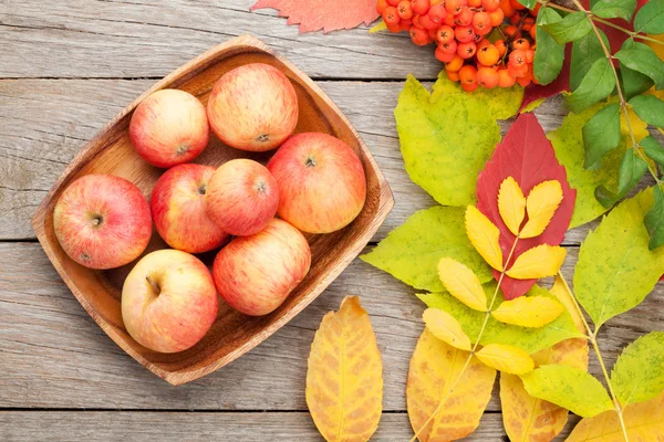 Podzimní jablka a listy — Stock fotografie