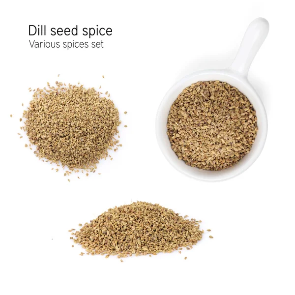 Spezia di semi di aneto — Foto Stock
