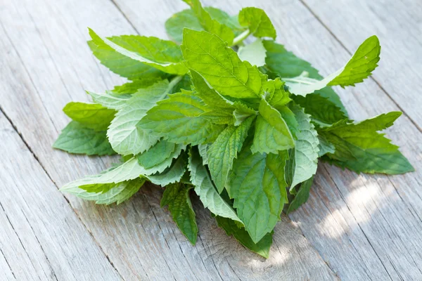 Fresh mint bunch — Stock Photo, Image