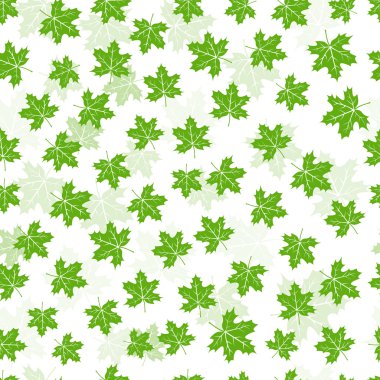 Sorunsuz akçaağaç yaprağı deseni